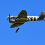 image - 2026-06-12T030122.185